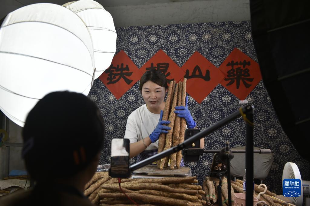 金沙返利网